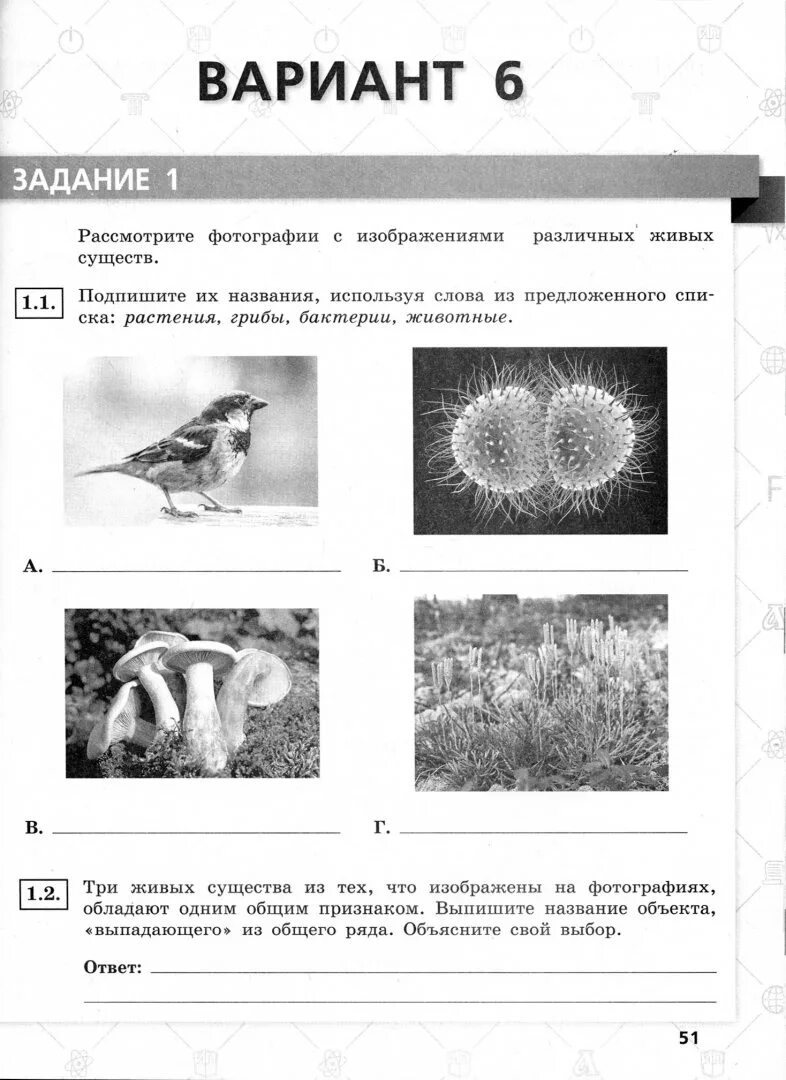 Экологические признаки впр 5 класс биология. Животные из ВПР по биологии 5 класс. ВПР 5 класс биология растения животные бактерии. Бактерии грибы животные ВПР. ВПР растений грибов и животных.