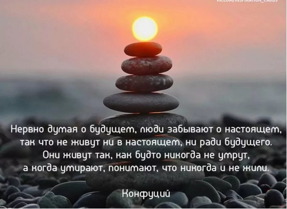 Все в нашей жизни связано на дзене. Цитаты про жизнь настоящим. Цитаты про настоящее. Живете своей жизнью. Цитаты. Цитаты про будущее со смыслом.