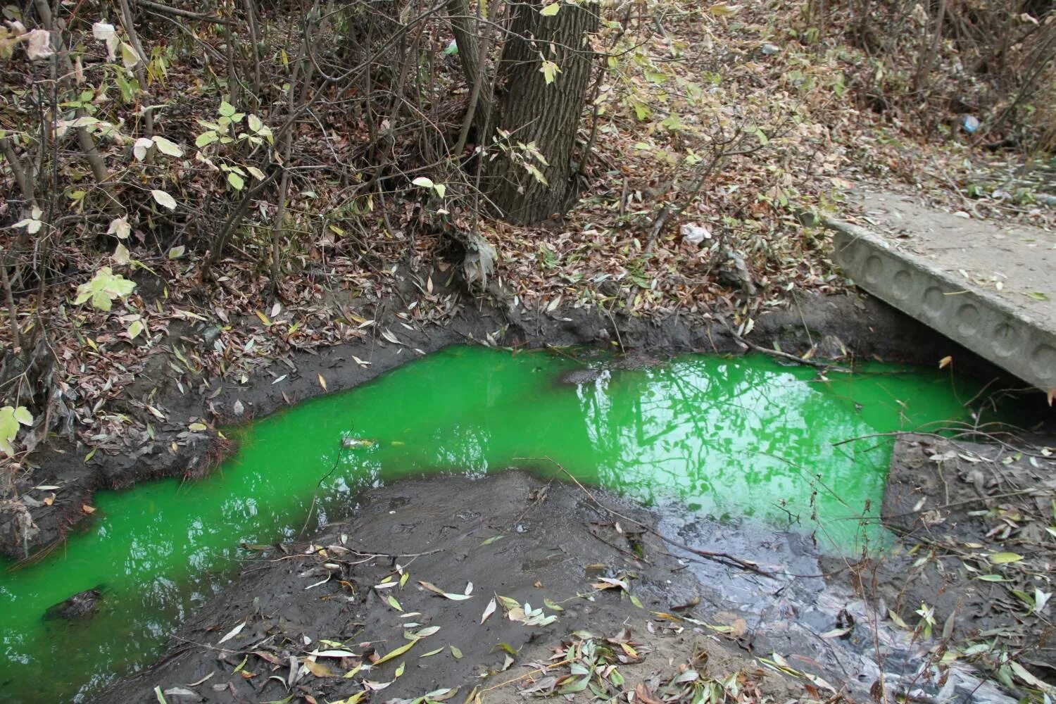 Зеленые воды в легких. Уранин. Зеленый уранин. Зелёная сточная вода. Уранин в воде.