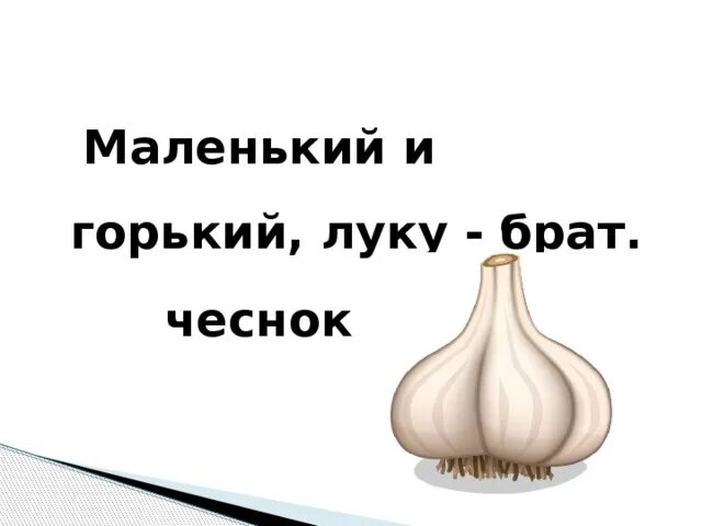 Маленькая горький. Маленький горький луку брат. горький лук. загадка маленький и горький луку брат. луковица горькая.