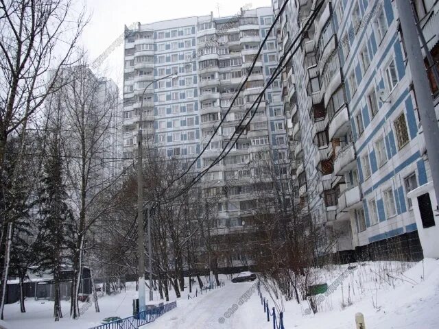 Воронцовские пруды 5. Воронцовские пруды 9.