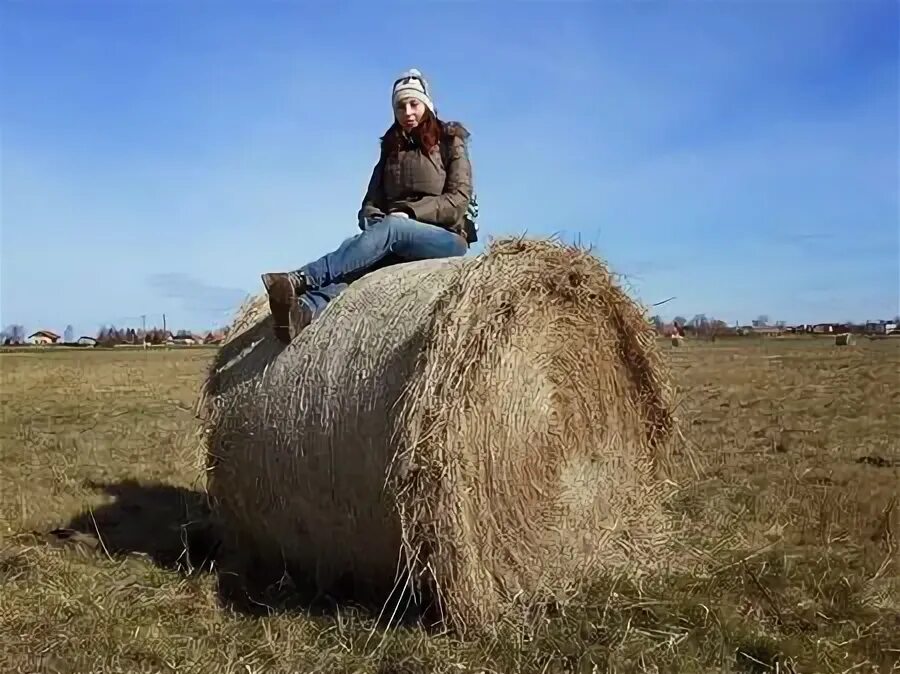 Стогов на канале 78. Макет стога сена. Крышка в стоге сена. Фото на стоге сена девушка. Полная женщина в копне сена.