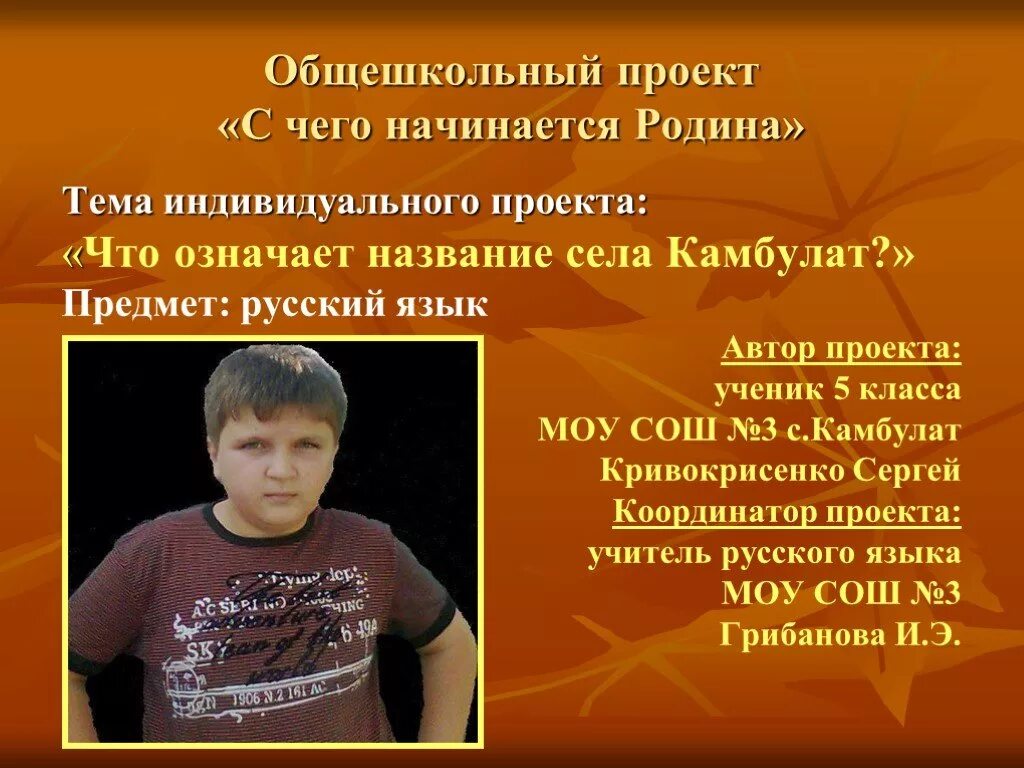Что значит проект в школе