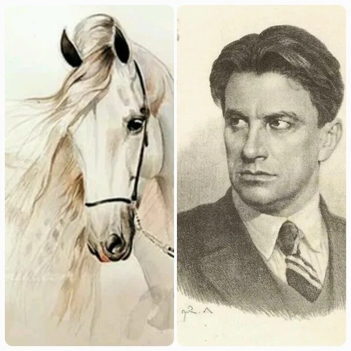 Любовь к лошадям стихотворение. Хорошее отношение к лошадям Маяковский. Стихотворение Маяковского про лошадь.
