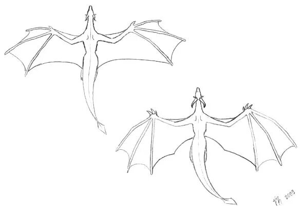 драконьи крылья выкройка. крылья дракона из бумаги. крылья дракона из бумаги. крылья дракона. крылья беззубика.