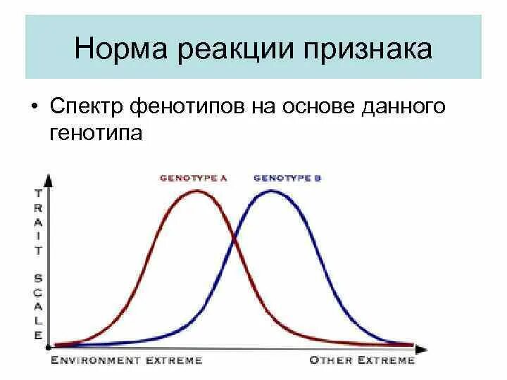 Нормы реакции бывают. Норма реакции в биологии график. Определение нормы реакции биология. Признаки со средней нормой реакции. Модификации норма реакции.