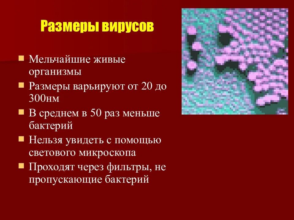Многообразие вирусов 5 класс презентация. Вирусы презентация. Информация о вирусах. Вирусы биология. Сообщение на тему вирусы по биологии.