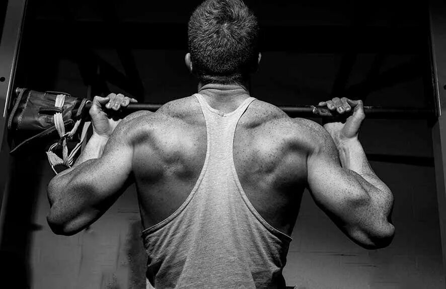 Подтягивания узким обратным хватом. Подтягиваться на турнике. Техника подтягивания на турнике обратным хватом. Подтягивания вид спереди. Накаченная спина в зале.