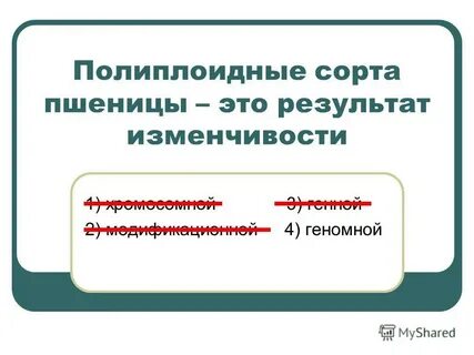 Образуются полиплоидные клетки