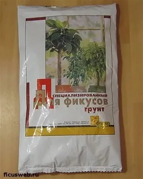Кислотность для фикуса. Земля для фикуса. почва для фикуса. грунт для фикусов. грунт для бенджамина.