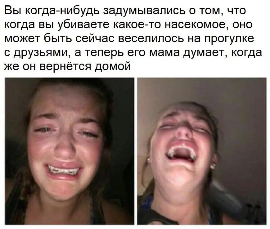 Вы когда нибудь задумывались. Приколы про алкоголь. Шутки про алкоголь. А вы когда нибудь задумывались. Какой стиль речи в тексте вы когда нибудь задумывались.