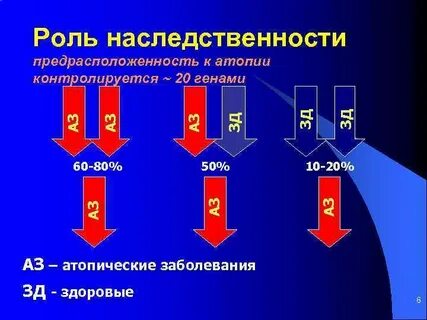 Атопический дерматит ген