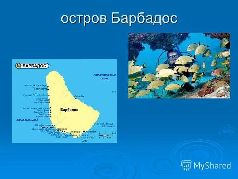 Барбадос остров на карте. Где находится остров Барбадос. Барбадос географическое положение. Дам гватемалу и два барбадоса