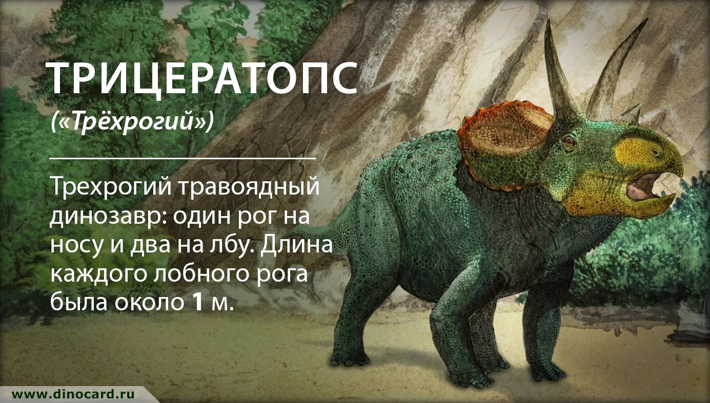 интересные факты о динозаврах для детей. интересные динозавры. факты о динозаврах. текст про динозавров. 100 интересных фактов динозавры роббинс.