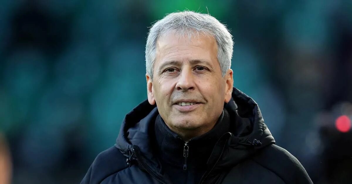 Фавр. Дардаи фавр. Боруссия тренер. Кристоф фавр christophe favre. Фавр тренер боруссии.