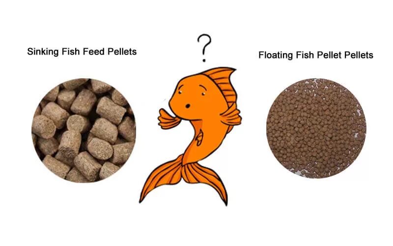 Feed 21. Feed the fish. корм для рыб из чего делают. fish pellets. floating fish.