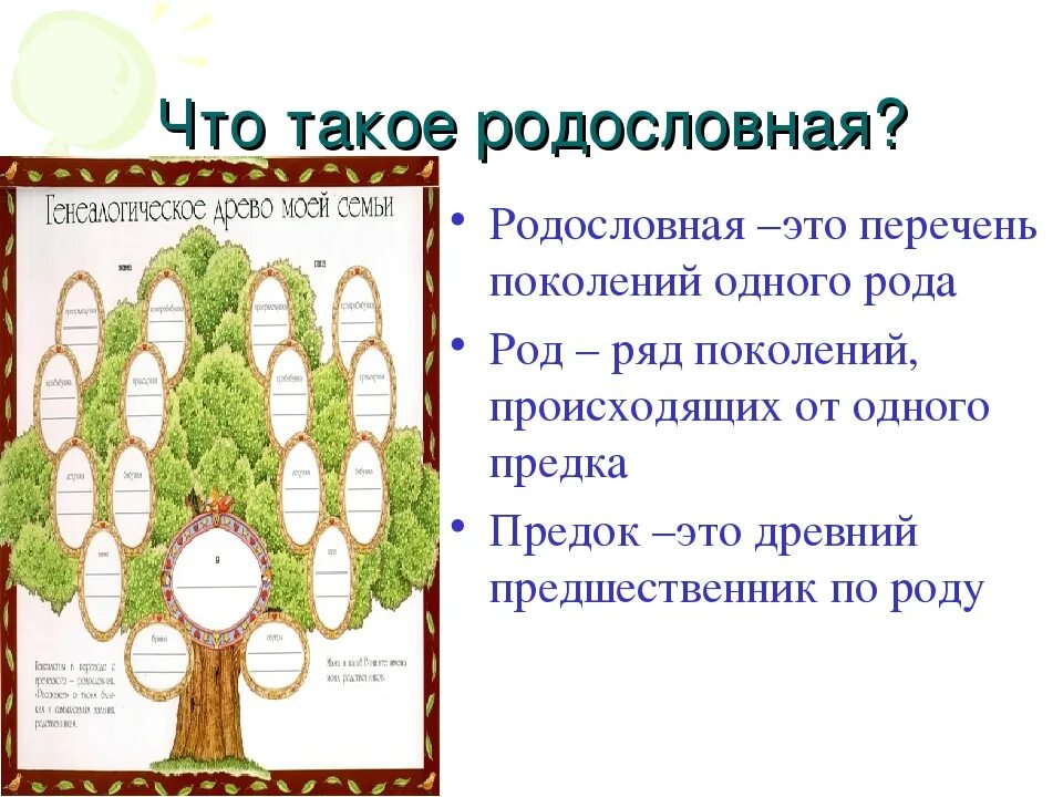 Генеалогическое древо 2 класс окружающий мир проект. Родословная Древо 2 класс окружающий мир. Как составить родословную семьи образец 2 класс. Родословная Древо 3 класс окружающий мир. Как составить родословную семьи образец 3 класс.