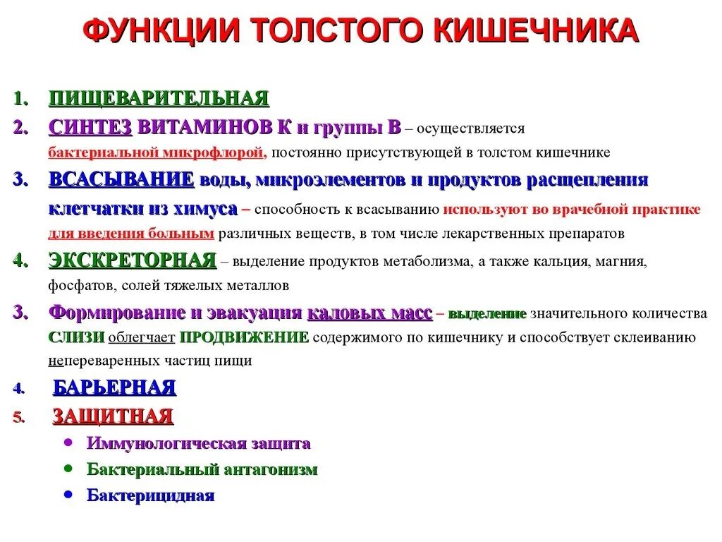 Роль толстой кишки. Функции Толстого кишечника человека кратко. 2 Функции Толстого кишечника. Функции Толстого кишечника в организме человека кратко и понятно. Перечислите основные функции Толстого кишечника.