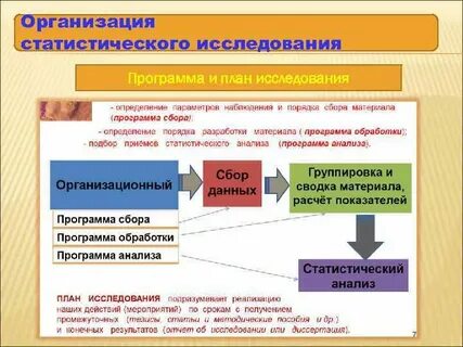 Проведение статистического исследования