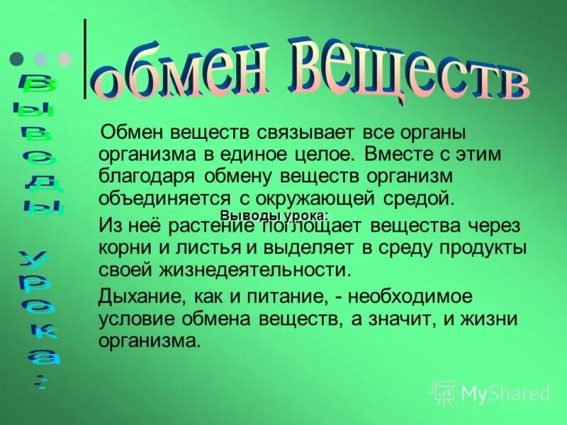 Схема по биологии 6 класс обмен веществ у растений. Обмен веществ у растений. Схема по биологии 6 класс обмен веществ у растений. Обмервеществ в растении. Обмен веществ у растений.
