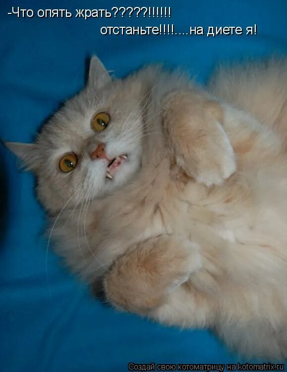 что опять происходит