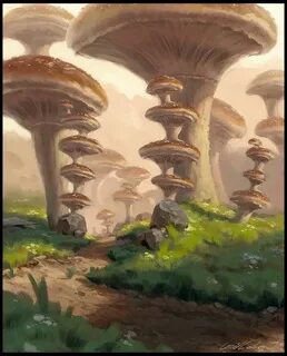 Legend of mushroom на пк