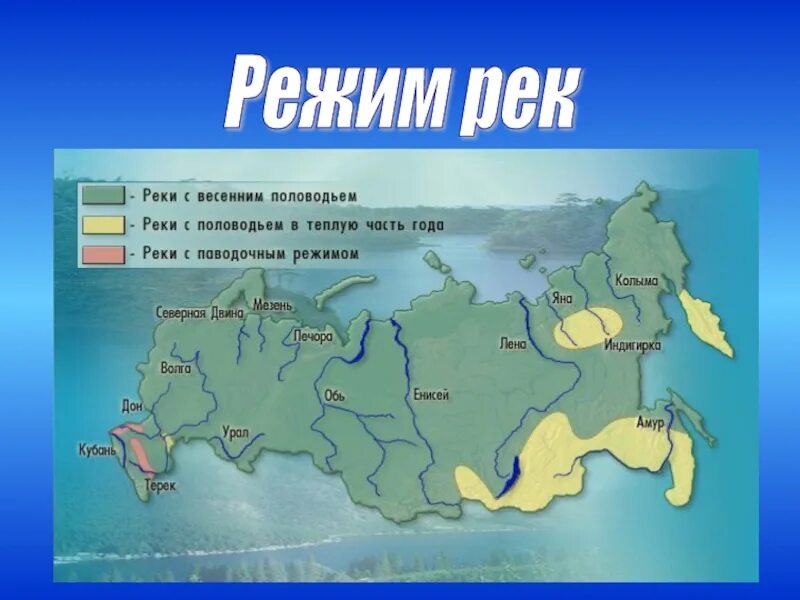 Реки России. Крупные реки России список. Крупнейшие реки России на карте. Карта самых больших рек России.