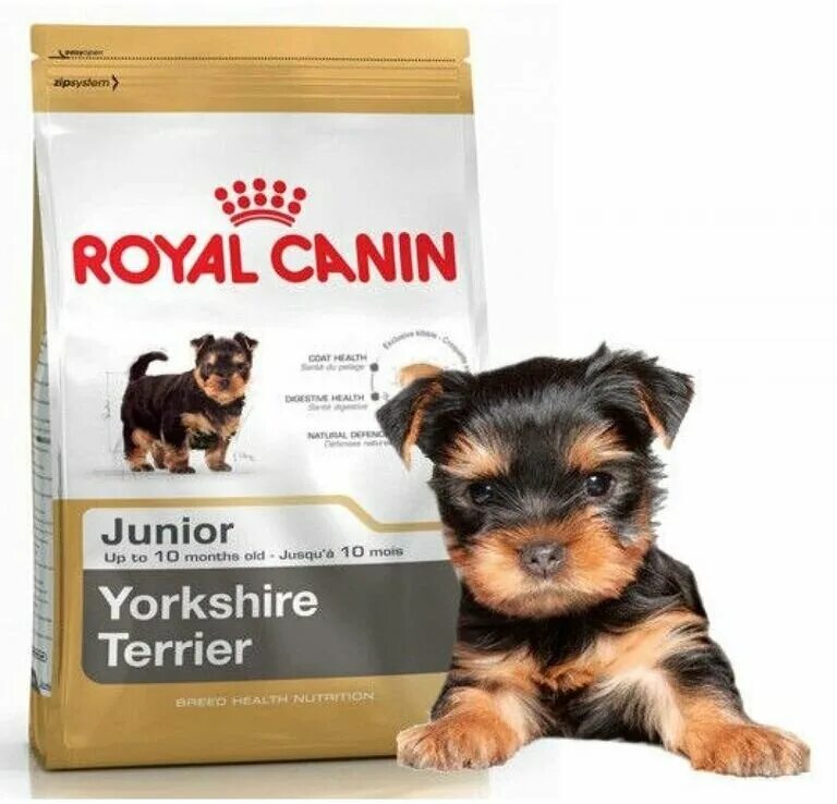 Корм для карликовые породы собак. Корм Royal Canin Yorkshire Terrier. Роял Канин для собак мелких пород Йоркширский терьер. Корм Роял Канин для собак мелких пород щенков йорков. Корм для щенков йоркширского терьера.