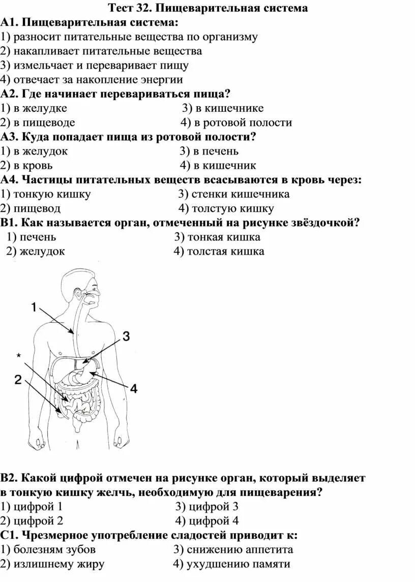 Тест по теме пищеварение 8. Тест 32 пищеварительная система. Пищеварительная система человека тест 8 класс. Тест 8 пищеварительная система 8 класс. Тест 32 пищеварительная система 3 класс.