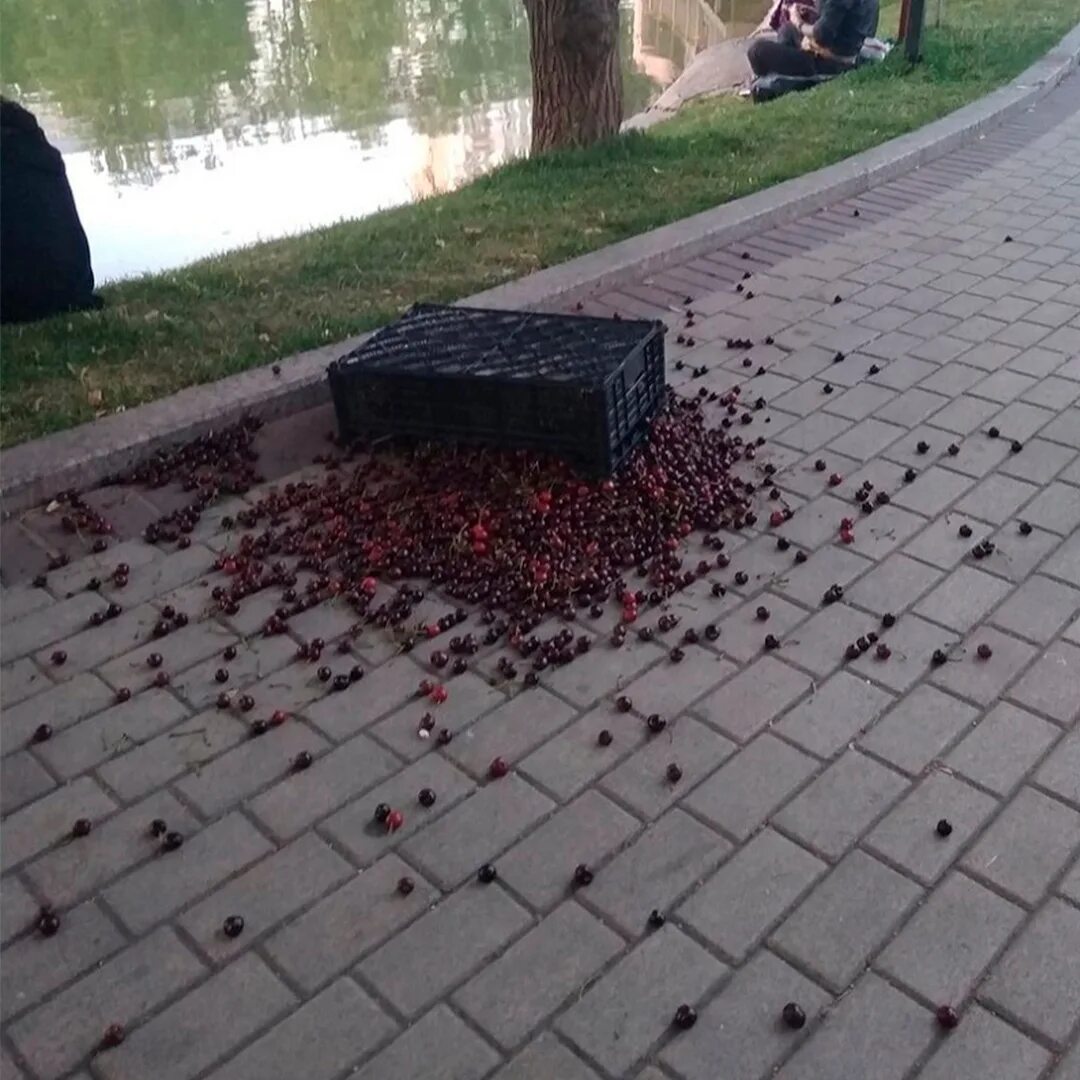 Имеющий унылый