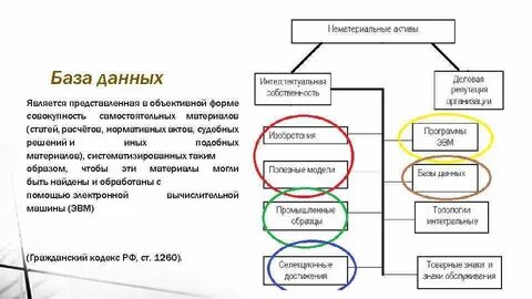 Базой данных является представленная в объективной форме