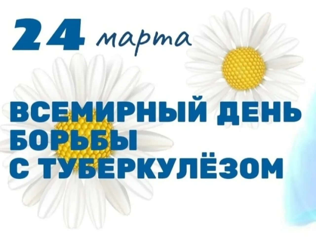 Всемирный день туберкулеза презентация. Всемирного дня борьбы с туберкулезо. Всемирный день борьбы с туберкулезом. Всемирный день по борьбе с туберкулезом.