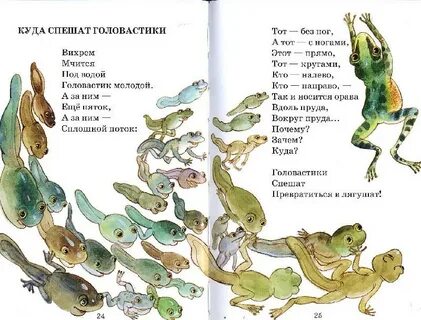 Читать куда