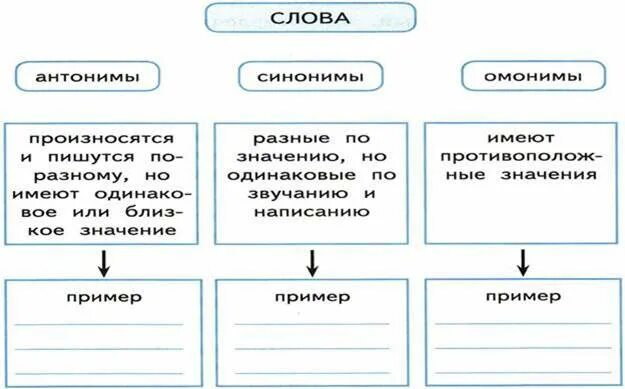 Синонимы омонимы антонимы паронимы таблица. Схема синонимы антонимы омонимы. Слова синонимы и антонимы. Слова синонимы антонимы омонимы. Хватит киснуть значение слова и синоним