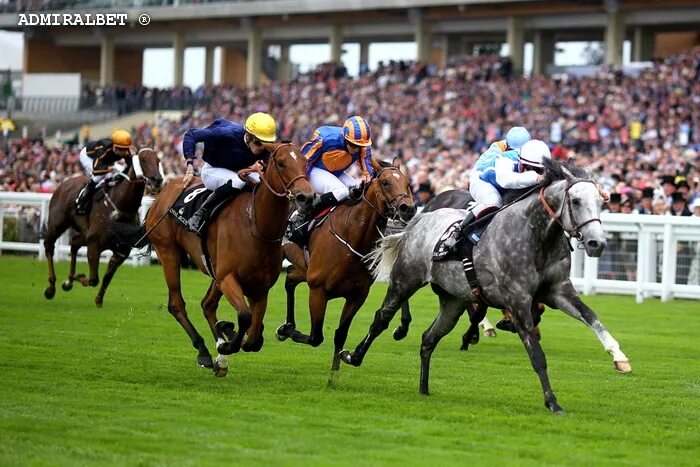 Ascot Racecourse Великобритания. Royal Ascot Race. Royal Ascot Horse Racing. Ипподром аскот. Тернер лошадь