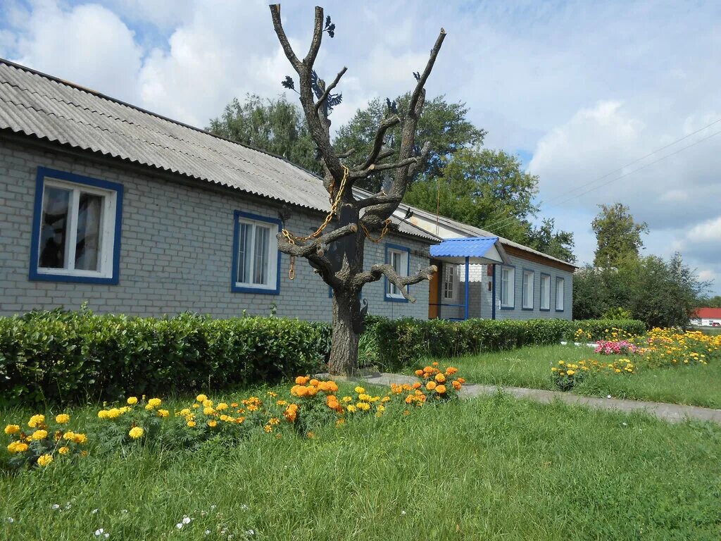 Поселок кшенский курская область. Квартиры в кшени. Авито кшенский. Кшень курская область дом. Кшень курская область дом.