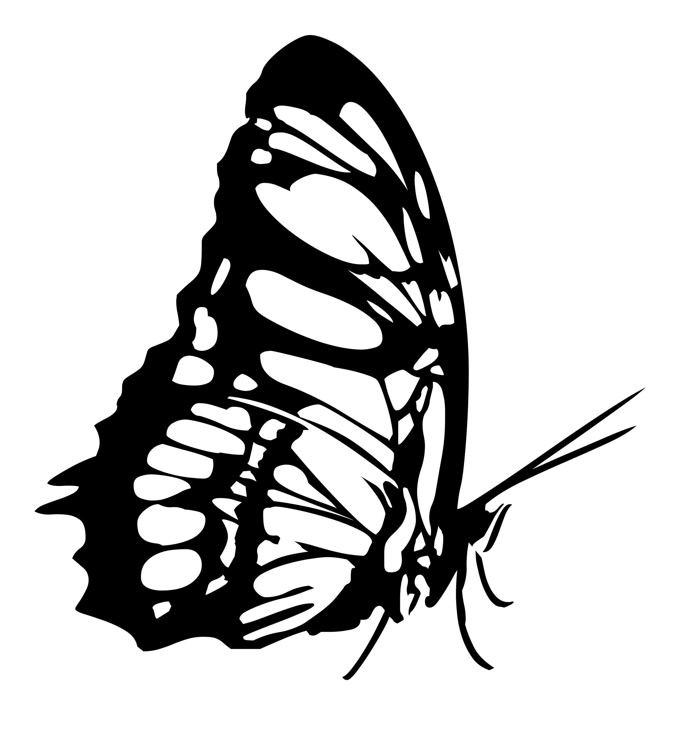 Черно белое изображение png. Бабочка рисунок. Бабочка черно белая. Силуэт бабочки. Бабочка Графика.