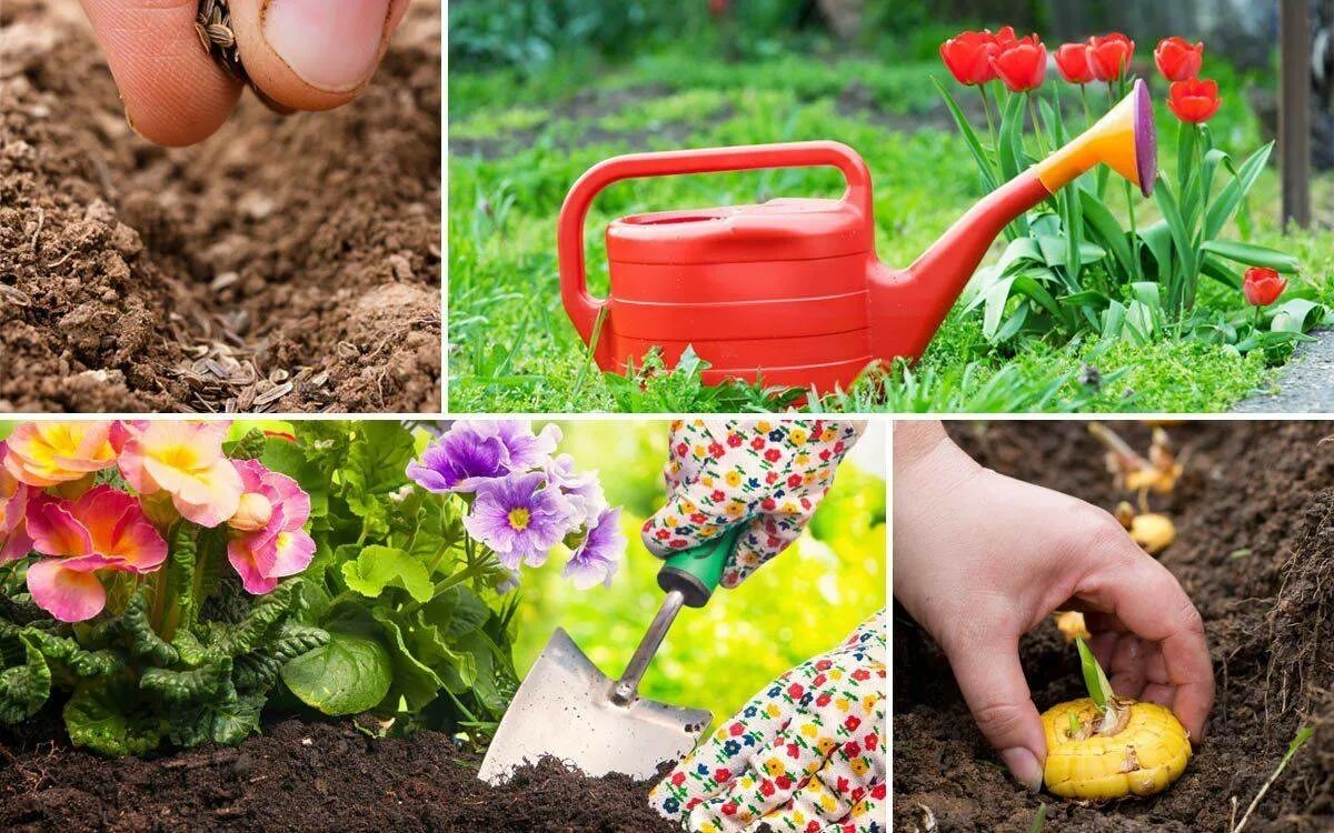 Огород урожай. Апрель сад огород. Садово-огородный инвентарь. Календарь садовода. Весенний огород.