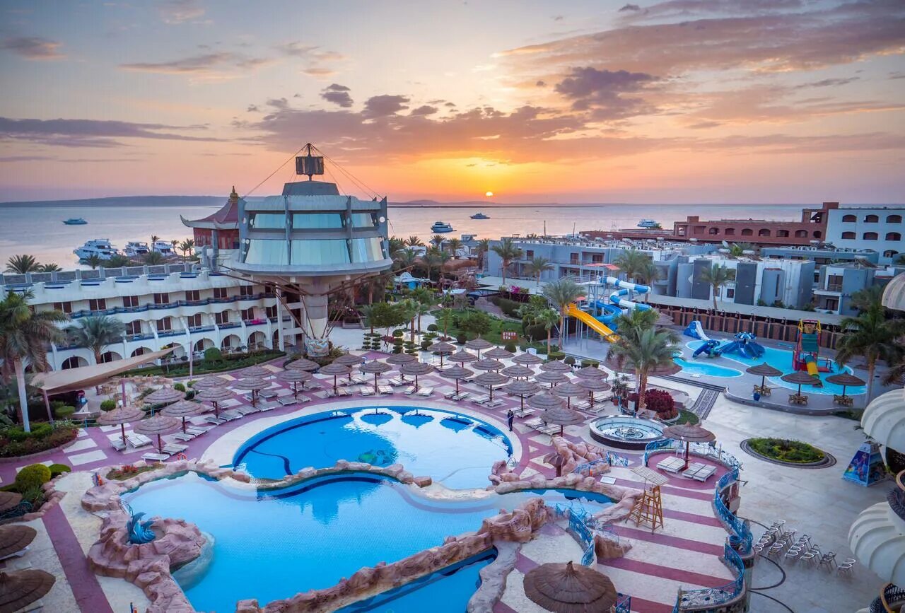Отель Сигал Хургада. Отель Sea Gull Beach Resort & Club 4*. Египет,Хургада,Seagull Beach Resort. Отель Seagull Beach Resort 4 Хургада.