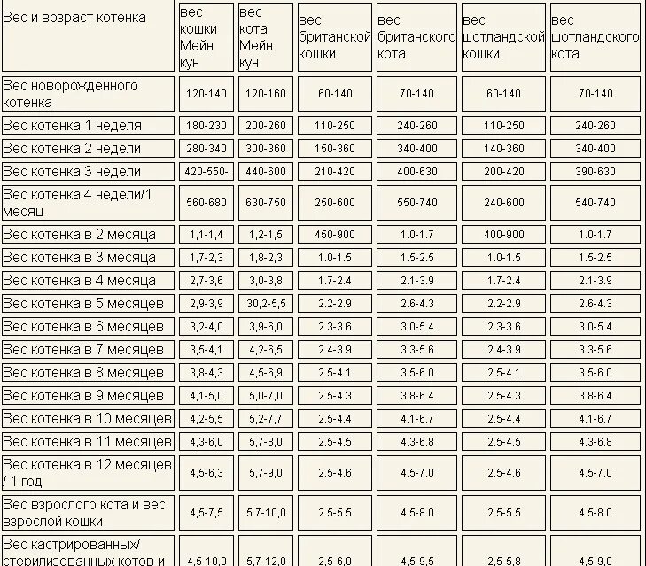 Вес котенка по месяцам таблица