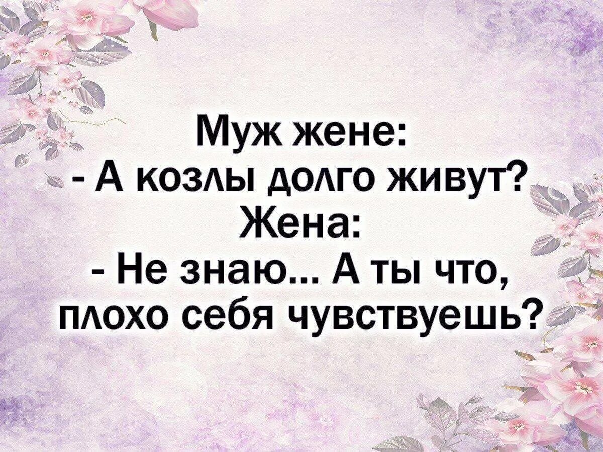 Муж жене сегодня будем. Муж и жена цитаты. Цитаты про хорошего мужа. Цитаты про плохого мужа. Высказывания про мужа.