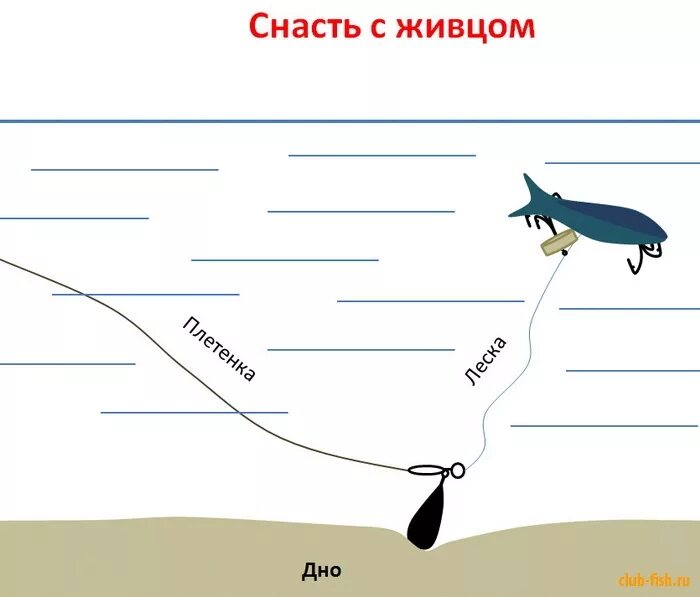 Оснастка для ловли судака на живца с берега на донку. Донная снасть с поплавком на живца. Ловля щуки на живца с берега на донку оснастка. Снасть на хищника на течении с живцом. Ловля на живца на поплавочную