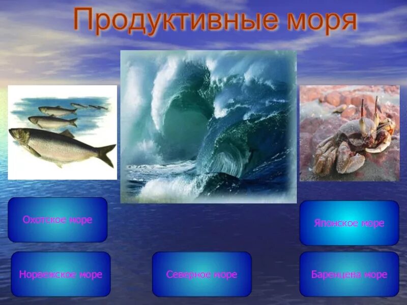 Карта биологических ресурсов мирового океана. Продуктивные акватории это. Первичная продукция в океане. Ресурсы мирового океана таблица 10 класс география. Самые продуктивные моря.