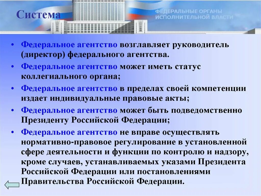 Могут ли федеральные службы руководить федеральными агентствами. Виды федеральных агентств. Федеральные агентства правительства РФ. Федеральные агентства примеры. Коллегиальные федеральные агентства.