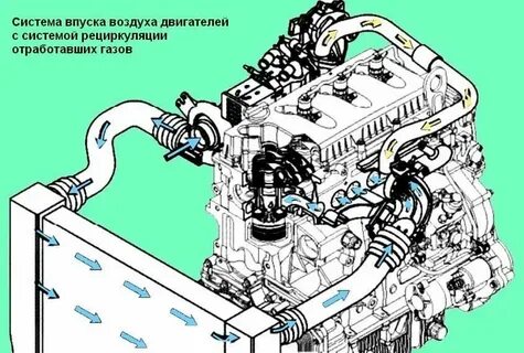 Схема охлаждения камминз 2.8