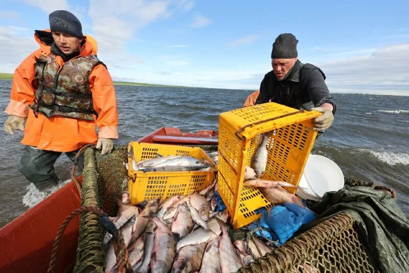 рыболов номер телефона. рыболов номер телефона. магазин для рыбалки. рыболовный магазин в зеленограде. магазин рыболов в зеленограде.