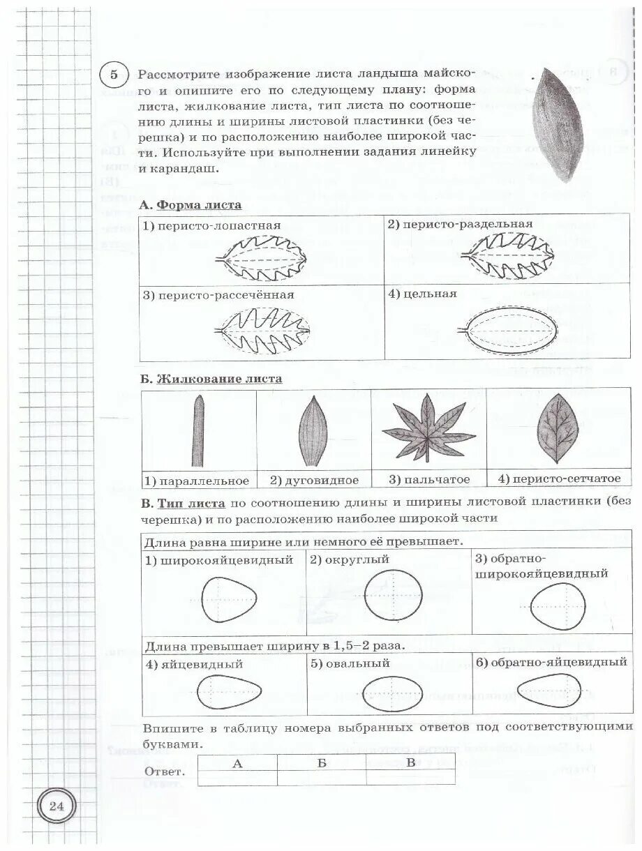 Ответы по ВПР по биологии 6 класс. ВПР биология 6 класс линейная программа ответы. ВПР 6 класс биология задания. ВПР по биологии 6 класс с ответами.