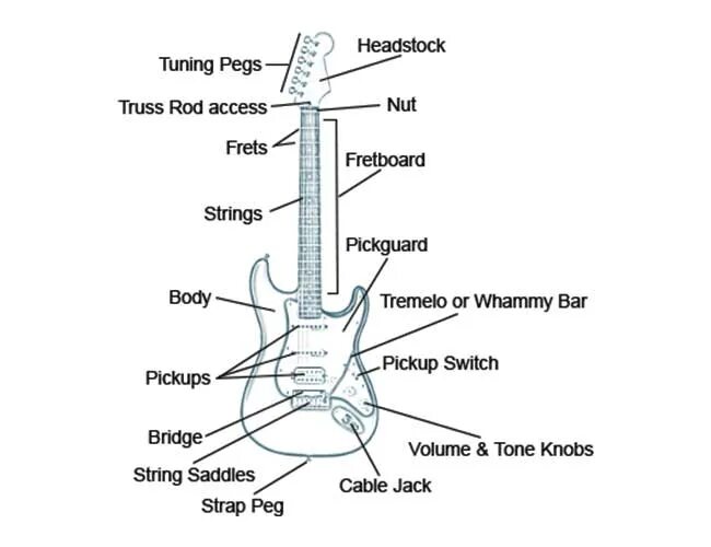 Строение электрогитары схема. Строение гитары электрогитары. Строение акустической гитары схема. Гитарная анатомия.