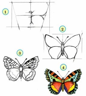 Как нарисовать бабочку - 85 рисунков. sopranoclub