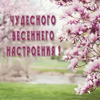 Отличного весеннего настроения картинки